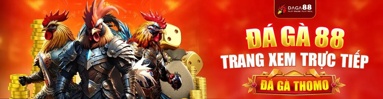 Đá gà 33wwin trực tuyến